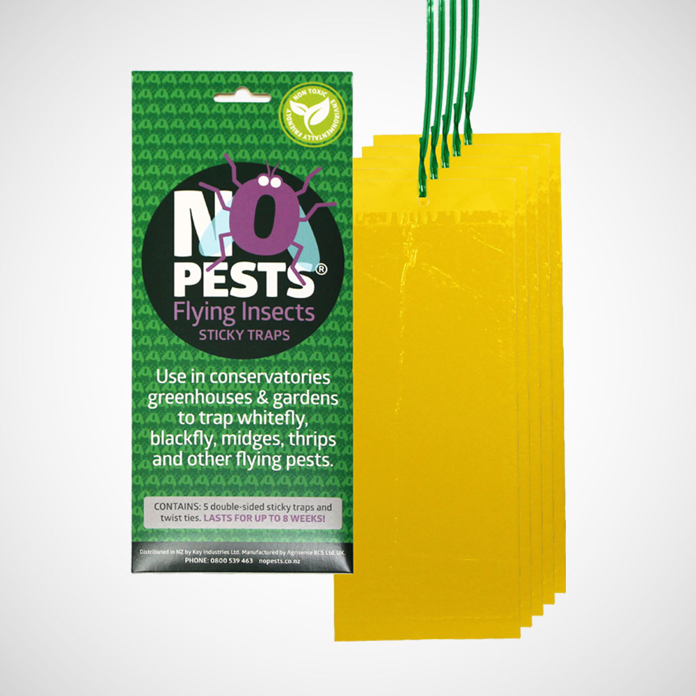 https://www.nopests.co.nz/wp-content/uploads/2017/11/NP-FlyingInsect-StickyTraps-ProductShot-WEB.jpg